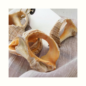 Anillo de Servilleta Turbo con Diseño de Concha Marina para Decoración de Mesa en Restaurantes y Uso Decorativo - Product Image 6