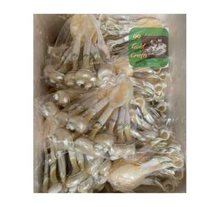 Natural Polished <b>Shell</b> Spoon Eco Friendly Mother of Pearl Spoon for Dining Table Gift or Decoration - Product Image 6