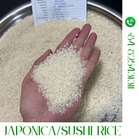 LE SÉNÉGAL IMPORTE DU RIZ DU VIETNAM |   RIZ DU SÉNÉGAL en AFRIQUE : Japonica Jasmine, Riz à grains longs |   OO84825431311