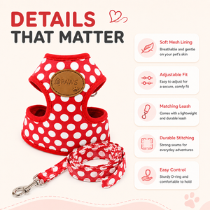 Conjunto de Paseo para Mascotas Pequeñas con Correa de Nailon y Poliéster Cómoda, con Estampado de Puntos y Broche Metálico, para <span class=keywords><strong>Chihuahua</strong></span>, Yorkie, Gatitos - Product Image 3