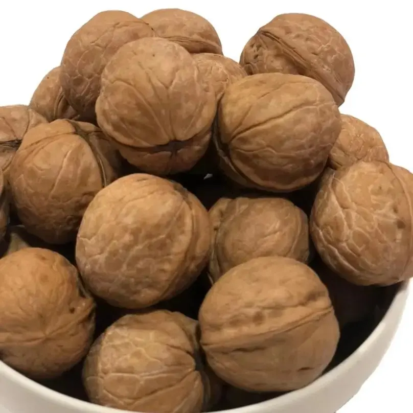 Top Grade Walnuts in Shell Premium Organic Walnut Inshell Bulk Supply Nuts From Kyrgyzstan Manufacturer