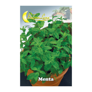 Semi Orto Menta - Product Image 1