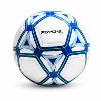 AB Kalite Boyut 5 Antrenman Futbol Topu TPU Makine Dikişli Özel Logo Futbol Topu Okul Takımı Toptan OEM