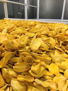Délicieux jacquier séché Vietnam usine pour les magasins de snack et les acheteurs d'outre-mer - Product Image 2