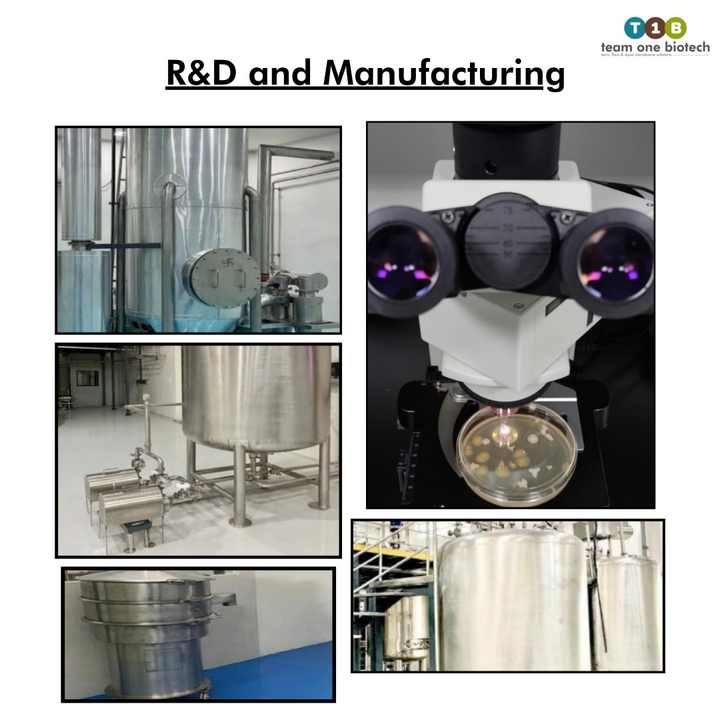 STP Bioculture for Sewage Treatment Sludge Volume Minimization PVDF Manufacturing Plants Hotels Water Filtration Membrane Filter