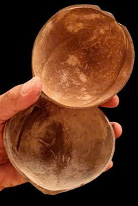 Handcrafted Oval <b>Coconut</b> <b>Shell</b> Bowls for Food Serving // Eco-Friendly & Available for Bulk Export - Product Image 6