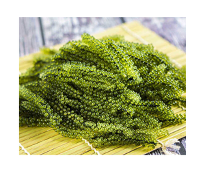 UVA DE MAR PREMIUM-UVA DE MAR DESHIDRATADA DE GRADO/LATO/ ARAROSEP EN STOCK CON EL MEJOR PRECIO DESDE 99 GD - Product Image 1