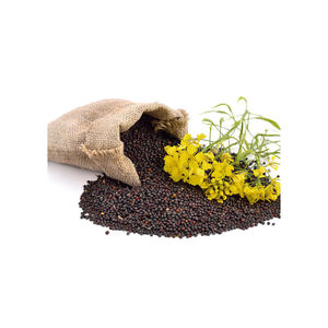 Distributeur en gros de colza offrant un prix réduit pour l'approvisionnement mondial - Product Image 1