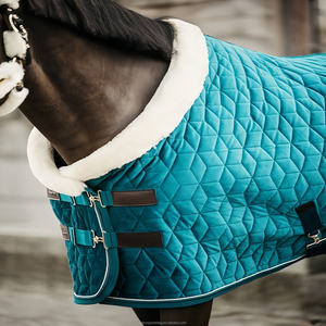 Couverture imperméable pour cheval, marron avec bordure turquoise, en tissu Oxford, toutes saisons, usage extérieur, 2 sangles de jambe, col standard, grande queue. - Product Image 4