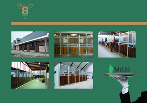 Paardenstalbox Met Grote Capaciteit Voor Stabiele Bulkbenodigdheden - Product Image 6