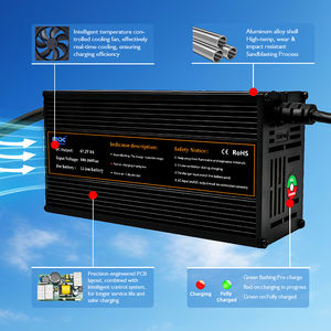 Cargador Rápido de 800W 60V 10A LiFePO4 para Vehículos Eléctricos de Tres Ruedas con Resistencia al Agua IP34 y Apagado Automático - Product Image 4