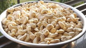 Vietnamese Cashew Nuts W320 Flavor and Kaju Cashew and Cashew Nuts W240 Vietnamese Origin - Product Image 4