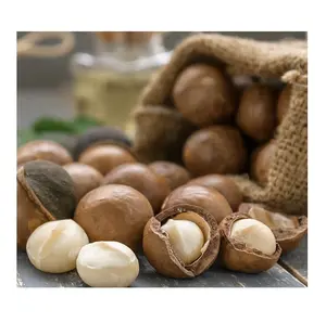 Nuts Macadamia for Sale Roasted in shell Macadamia Nuts Wholesale Price