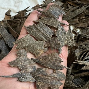 Authentique copeaux de oud naturel du Vietnam cultivé avec soin pour le bois de santal pur parfum bois d'agar titulaire OEM OUD CHUNK/CHIPS - Product Image 3