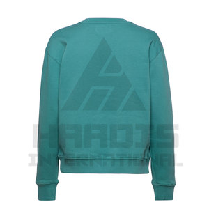 Nouveauté Sweatshirts pour femmes de haute qualité Vente chaude Sweatshirts décontractés de style hivernal personnalisés pour femmes - Product Image 3