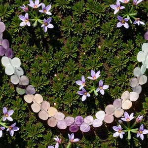 Cuentas de fluorita Natural Multicolor, hebra de piedras preciosas facetadas en forma de Rondelle suelta, cuentas cuadradas de piedra arcoíris para la fabricación de joyas - Product Image 1