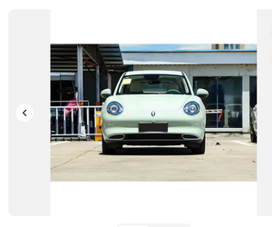 2023 Great Wall Ora Good Cat Auto Nuevo Vehículo Eléctrico Hatchback de Energía Nueva en Oferta, Coche Usado en Stock - Product Image 3