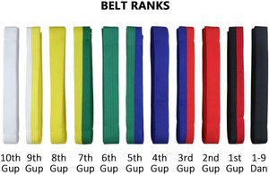 Ceintures de Taekwondo et de Karaté de Haute Qualité Équipement d'Arts Martiaux Personnalisé pour l'Entraînement et la Compétition Ceintures de Couleur Durables - Product Image 3