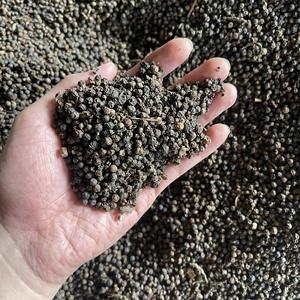 Pimienta negra cruda Preguntas frecuentes 400 450 500 550 GL DENSIDAD Mr Thomas Nguyen WS 84 789896886 - Product Image 6