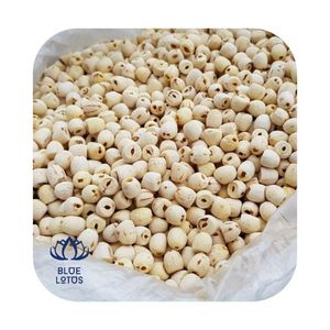 เมล็ดบัวหลวงแห้ง - Product Image 5