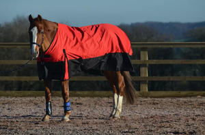 Alfombras de caballo de invierno hechas a medida de la mejor calidad, poliéster ligero, impermeable y transpirable - Product Image 3