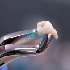 ชุดคีมทันตกรรมสกัดด้วยมือสแตนเลส10ชิ้นชุดคีมทันตกรรมด้ามจับสบายเครื่องมือผ่าตัดทางทันตกรรมคุณภาพสูง - Product Image 4