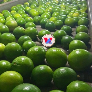 มะนาวไร้เมล็ดเกรดส่งออกจากฟาร์มเวียดนาม /ms.katty - Product Image 2