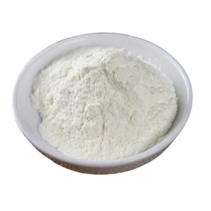 กะทิผงจากเวียดนามคุณภาพสูงสำหรับคุณ - Product Image 3