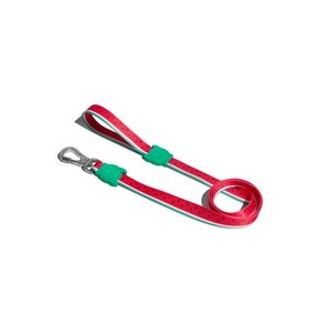 Lola Laisse et Harnais de Luxe pour Chien, Corde Durable avec Confort Rembourré, Personnalisation Possible, Imprimé Uni, Style Western Classique, Carto - Product Image 2