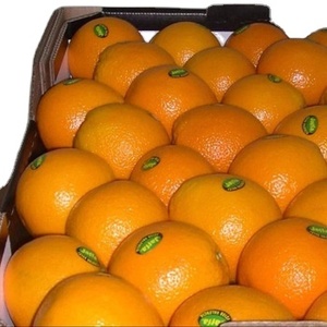 Naranja Mandarina Orgánica <span class=keywords><strong>de</strong></span> Primera Calidad, Variedad Navel, Cítrico Fresco con Sabor Dulce, Marca SA, 3 Años <span class=keywords><strong>de</strong></span> Duración - Product Image 6