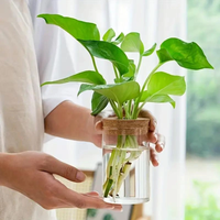 Vente en gros de pots en verre pour terrarium avec couvercle en liège, décoration d'intérieur, cadeau de jardin, kit de propagation de plantes pour pots de fleurs et jardinières