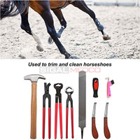 Kit d'outils de soin des sabots de cheval en acier inoxydable allemand réutilisable, le plus vendu, pour équine, toilettage, vétérinaire, durable