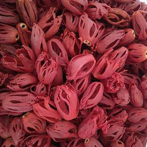 เครื่องเทศมาซแห้งเกรดสูง คุณภาพส่งออก สำหรับอุตสาหกรรมอาหารขายส่ง ราคาตลาดดีที่สุด - Product Image 6