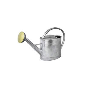 Arrosoir professionnel en métal pour l'aménagement paysager, arrosoir en fer galvanisé, tête de pulvérisation large, outil d'irrigation efficace pour le jardin - Product Image 6