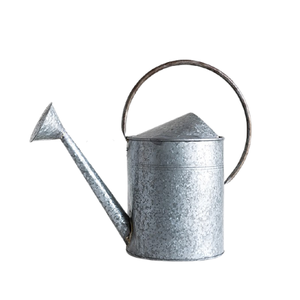 Antique Design White Color <b>Iron</b> <b>Water</b> Can Bestest Quality Customized Shape And Size <b>Water</b> Can For Garden Use - Product Image 2