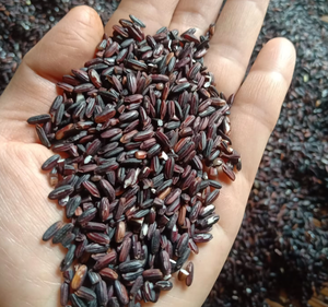 Arroz Negro, Arroz Integral, Arroz Rojo, Arroz Saludable, Arroz Glutinoso Rojo de Alta Calidad, Venta al por Mayor - Product Image 6