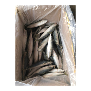 แอตแลนติก บัมเปอร์ ท็อปเกรด น้ำตาลน้อย บรรจุสุญญากาศ ขายส่งจำนวนมาก พร้อมส่งออก สำหรับผู้จัดจำหน่ายและผู้ส่งออก - Product Image 1