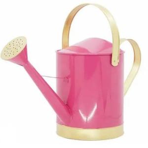 Classic Stylish Modern Wholesale Metal Water <b>Cane</b> Unique Style Enamel Water <b>Cane</b> Jugs Home And <b>Garden</b> Supplies Watering Cans - Product Image 5