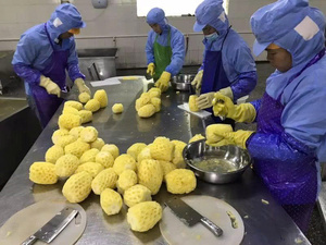 Ananas en conserve de haute qualité au meilleur prix, en sirop léger - 3 kg / Hazel par Viet Delta, durée de conservation de 3 ans, prêt à consommer - Product Image 3