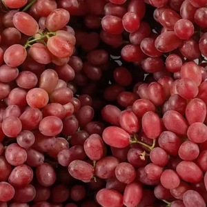 Uvas verdes sin semillas carmesí frescas al mejor <span class=keywords><strong>precio</strong></span> de alta calidad, fruta de temporada saludable y fresca, deliciosas uvas frescas jugosas - Product Image 5