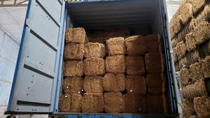 La red de fibra de coco está hecha de fibra de coco natural con muchos usos diferentes, como la pavimentación de caminos de colinas desnudas. - Product Image 6