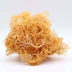 ผู้จำหน่าย Seamoss แห้งจากเวียดนาม - Product Image 4