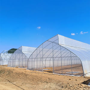 Invernadero Agrícola Multiterreno y Multitúnel de Bajo Costo para Cultivo de Tomates, con Estructura Metálica y Película de PE para Cultivos Tropicales - Product Image 5
