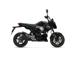 Nueva Motocicleta Manual MSX125 de 5 Velocidades y 125cc, Modelo 2026, Disponible para la Venta - Product Image 6