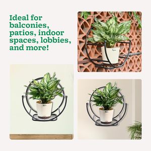 Support de plante en métal doré pour salon, balcon, décoration intérieure, élégant, grand, pour exposition de plantes, porte-pot de fleurs - Product Image 3