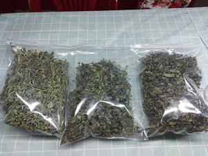 Feuilles de menthe séchées en vrac de haute qualité, transformées en usine au Vietnam, prix compétitif - Product Image 3