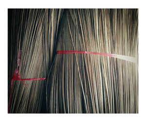 ไม้กวาดมะพร้าวธรรมชาติจากเวียดนาม-วัสดุสำหรับทำไม้กวาด - Product Image 4