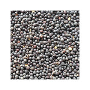 ขายเรพซีดจำนวนมากพร้อมการจัดส่งที่รวดเร็วไปยังผู้ซื้อจากต่างประเทศ - Product Image 4