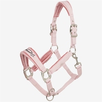 En gros, Licol en cuir personnalisé pour chevaux, en corde, de haute qualité, en matériau PP durable