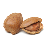 Noyaux d'abricot biologiques |   Graines de qualité supérieure de catégorie A1 pour usage alimentaire et herboristique, durée de conservation de 3 ans, Kohenoor International